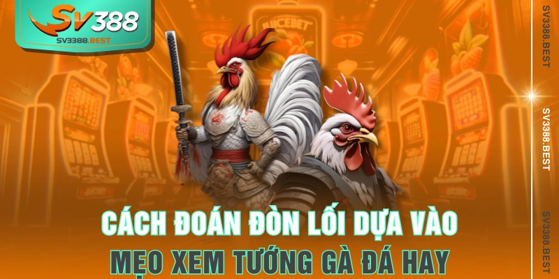 Cách đoán đòn lối dựa vào mẹo xem tướng gà đá hay