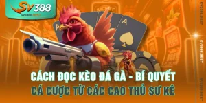 Cách Đọc Kèo Đá Gà - Bí Quyết Cá Cược Từ Các Cao Thủ Sư Kê
