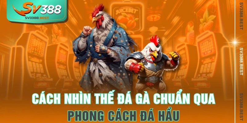 Cách nhìn thế đá gà chuẩn qua phong cách đá hầu