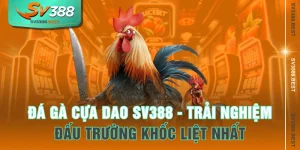 Đá Gà Cựa Dao SV388 - Trải Nghiệm Đấu Trường Khốc Liệt Nhất
