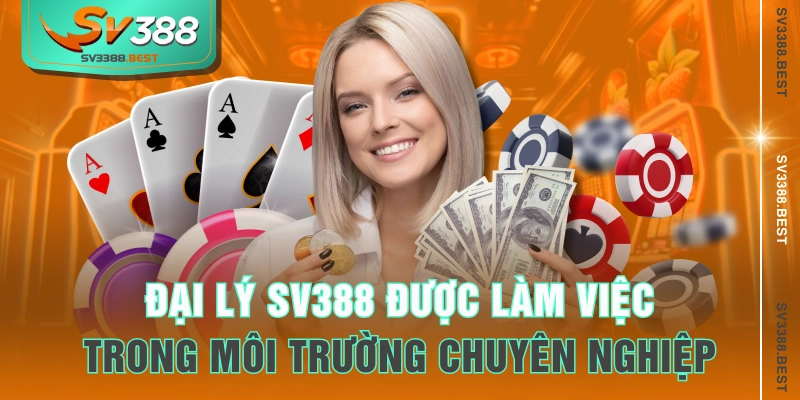 Đại lý SV388 được làm việc trong môi trường chuyên nghiệp
