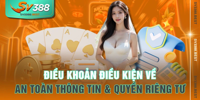 Điều khoản điều kiện về an toàn thông tin & quyền riêng tư