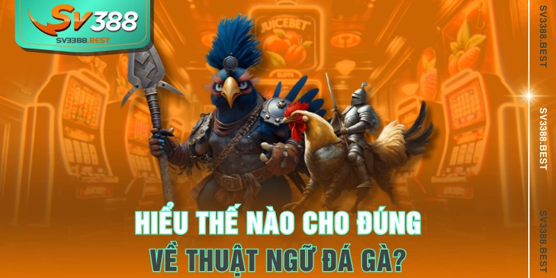 Hiểu thế nào cho đúng về thuật ngữ đá gà?