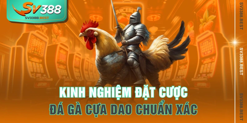 Kinh nghiệm đặt cược đá gà cựa dao chuẩn xác