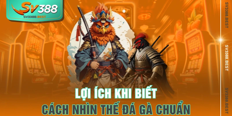 Lợi ích khi biết cách nhìn thế đá gà chuẩn