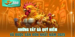 Những Vảy Gà Quý Hiếm Và Được Săn Đón Nhất Năm 2025