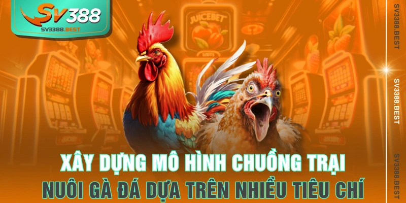 Xây dựng mô hình chuồng trại nuôi gà đá dựa trên nhiều tiêu chí