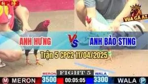 anh hưng với bảo sting đụng độ trận 5 cpc2