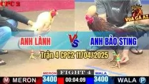 anh lành và bảo sting tại trận 4 CPC2