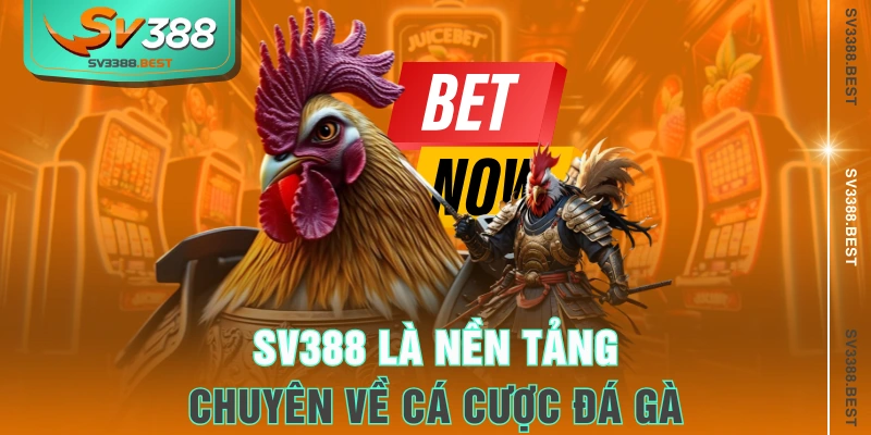 SV388 là nền tảng chuyên về cá cược đá gà
